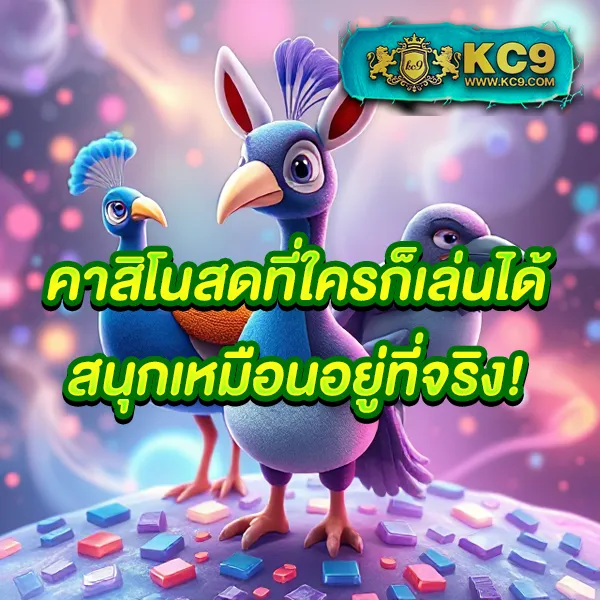 Betflik666 | แพลตฟอร์มสล็อตและคาสิโนที่ดีที่สุด