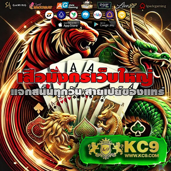 AllSlot365 - เว็บสล็อตออนไลน์ครบวงจร เล่นง่าย โบนัสแตกไว