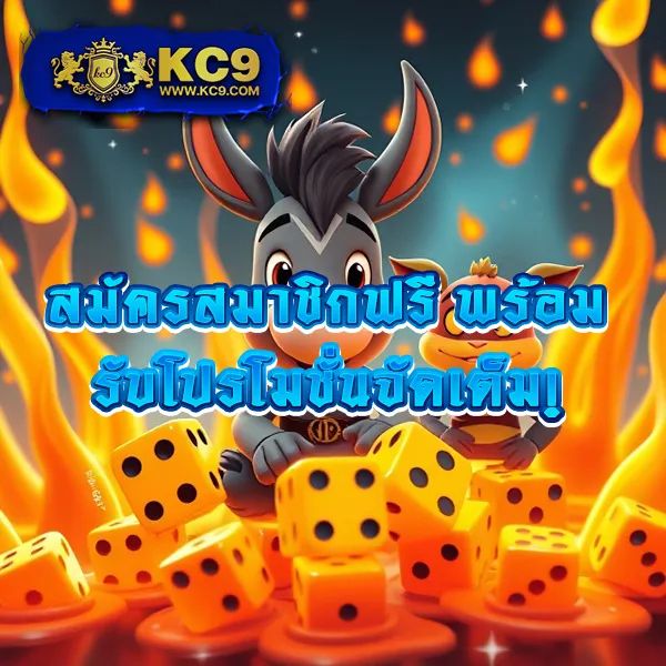 Cat888VIP หวย | เว็บหวยชั้นนำ อัตราจ่ายสูง