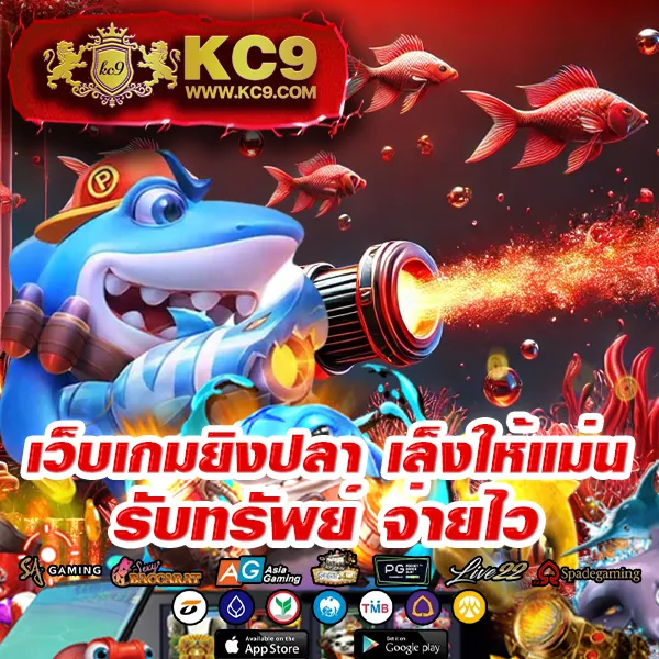 Betflik 789 - เว็บสล็อตออนไลน์และคาสิโนครบวงจร