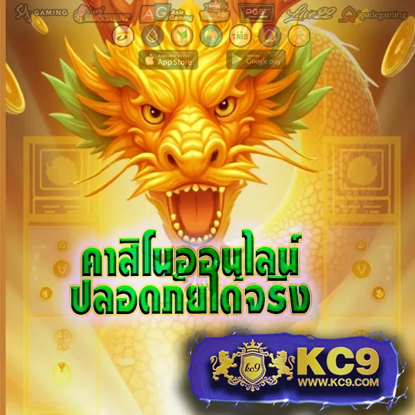 Cat888VIP หวย เข้าสู่ระบบ | ระบบใหม่ รวดเร็วและปลอดภัย