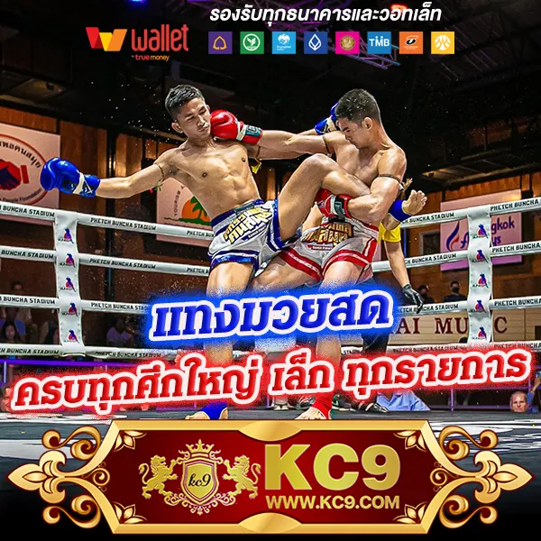 Cat888 หวย 7000 | เว็บหวยออนไลน์จ่ายสูงสุด