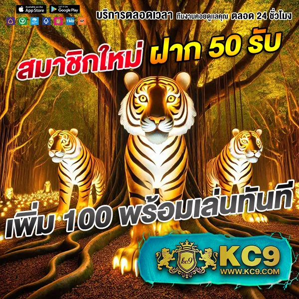 Betflik84 - เว็บตรงสล็อตและคาสิโนออนไลน์ครบวงจร