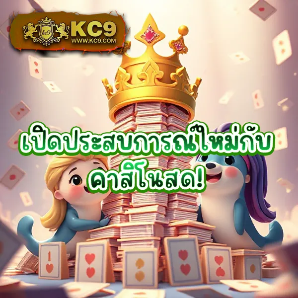 Cat888VIP | เว็บหวยครบวงจรสำหรับคนพิเศษ