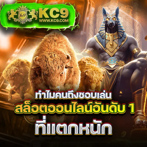 Cat888 สมัคร | ขั้นตอนง่าย รับสิทธิพิเศษทันที