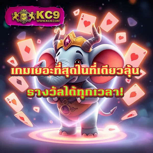 Betflik 249 - เว็บสล็อตออนไลน์และคาสิโนครบวงจร