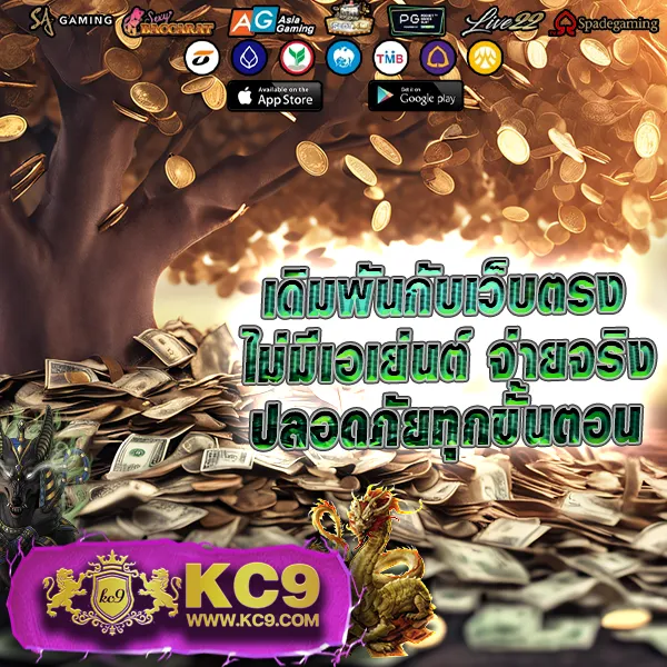 Cat888 หวย เข้าสู่ระบบ | ระบบรวดเร็ว แทงหวยง่าย