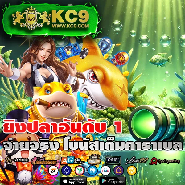 Cat888 เข้าระบบ | เริ่มต้นความสนุกได้ในไม่กี่ขั้นตอน