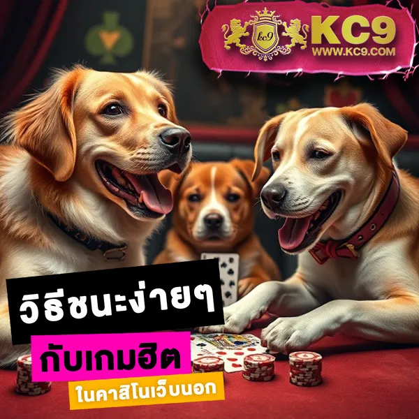 EasyBet789 – เล่นคาสิโนออนไลน์และเกมสล็อตที่ดีที่สุด