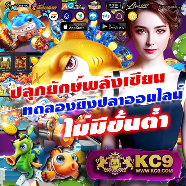 Betflik XL | สล็อตและคาสิโนออนไลน์ที่ดีที่สุด