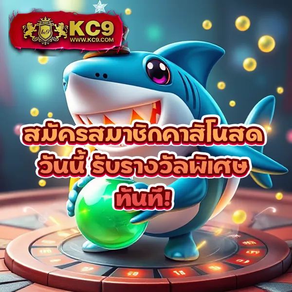 Kpook: แหล่งรวมข่าว บทความ และความบันเทิงครบวงจร