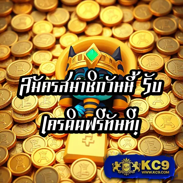 BMPlus 168 - แพลตฟอร์มเดิมพันออนไลน์ครบวงจร