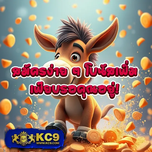 Bun - แพลตฟอร์มเดิมพันออนไลน์ครบวงจร