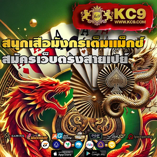 BMPlus 168 - เว็บตรงครบเครื่องเรื่องการเดิมพัน