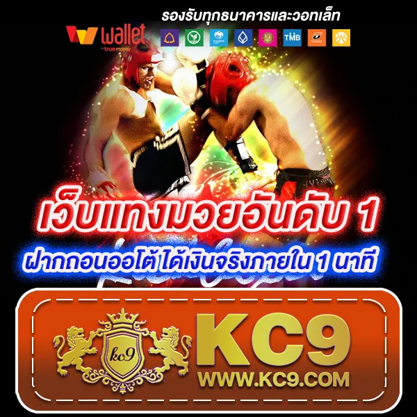 Cat888 หวย เข้าสู่ระบบ | แทงหวยสะดวก ทุกเวลา