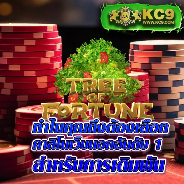 Cat888 สล็อต | เกมสล็อตออนไลน์ครบทุกค่ายในที่เดียว