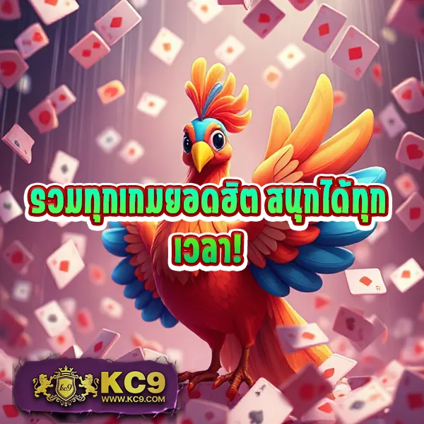 HOB666: แพลตฟอร์มเกมคาสิโนและสล็อตครบวงจร